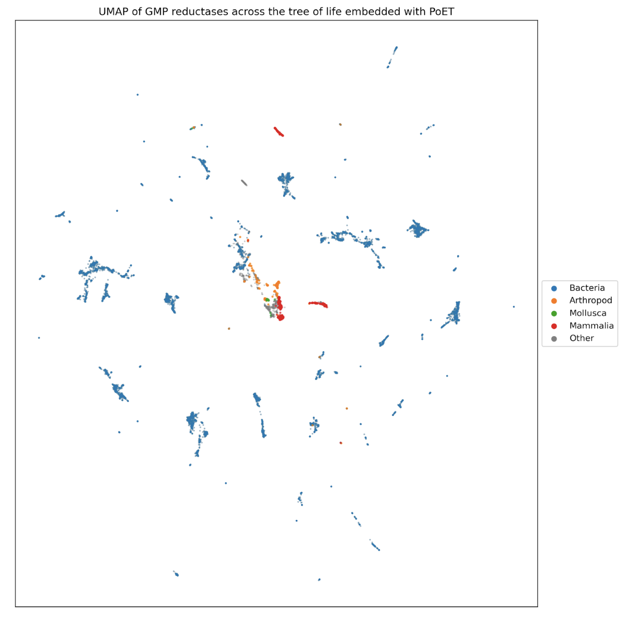 Visualization of Guanosine 5'-monophosphate oxidoreductases across the tree of life